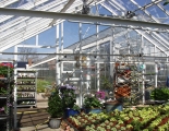 Lisebergs Trädgårdar (Växthus 2)